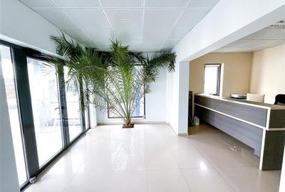 Cladire Servicii & Curte - 2