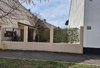 Casa de vanzare zona Blascovici - 9