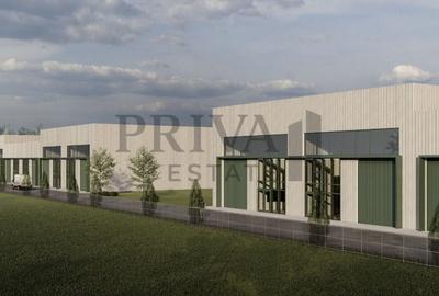 Spațiu industrial, de 228.25 mp, în Torontalului - 3