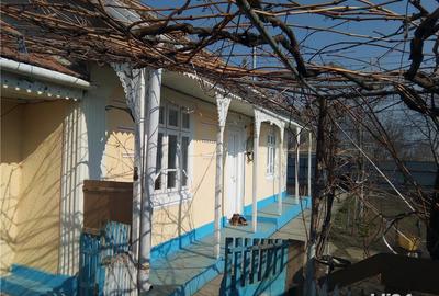Casă cu 5 camere cu Teren 860 Mp în Berezeni - 1