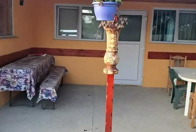 Vand casa sat.Costesti com.Rachiti jude? Boto?ani - 2