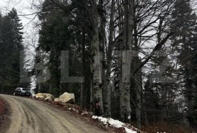 Teren de 4000 mp, în Calea Moroieni - 7