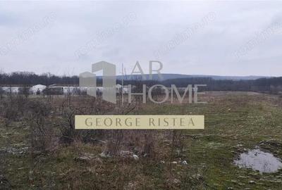 Teren de 7500 mp, în Sud - 2