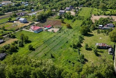 Teren de vanzare -Parava - DRAGUSANI - 1