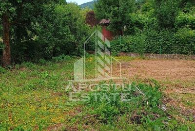 Casa bătrânească de vânzare | 4 camere | Hunedoara | Micănești - 44