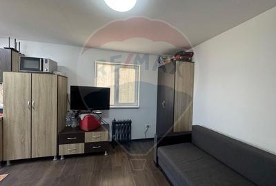 Casă cu 2 camere cu Teren 381 Mp în Pârneava - 5