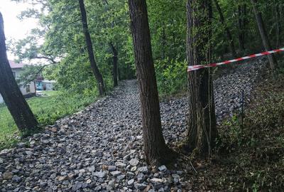 Spațiu comercial, în Făget - 5