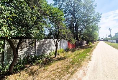 Teren de 3200 mp, în Urlueni - 9