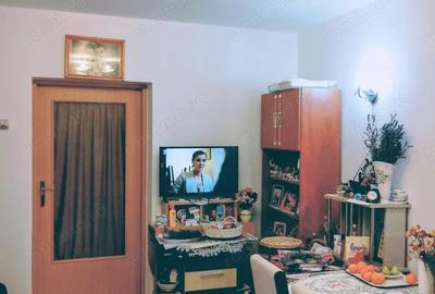 Casă cu 2 camere în Timocului-Șaguna - 19