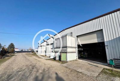 Hala de inchiriat in zona industriala Santion, Bihor - 2