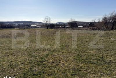 Teren de 5800 mp, în Hereclean - 5