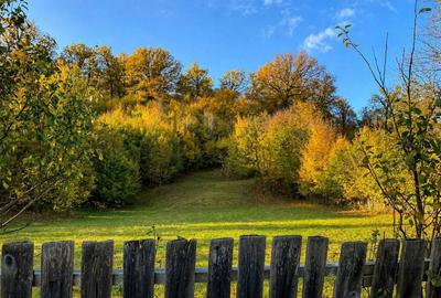 Teren de 3000 mp, în Exterior Vest - 3