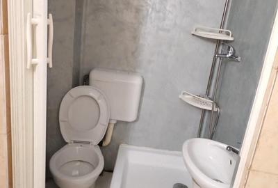 Garsonieră decomandată în Blașcovici - 3