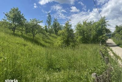 Teren de 1719 mp, în Văleni-Dâmbovița - 3