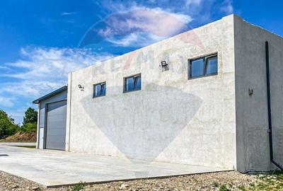 Spațiu industrial, de 850 mp, în Jilava - 10
