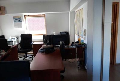 Vila Domenii cu Chirias Vila Domenii cu Chirias - 2