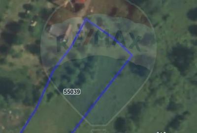 Teren de 3082 mp, în Damiș - 7