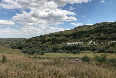 Teren de 500000 mp, în Valea Călugărească - 1