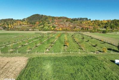 Spațiu comercial, în Aușeu - 12