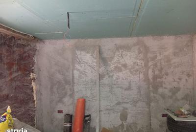 Casă cu 1 camere cu Teren 1500 Mp în Bârsa - 2