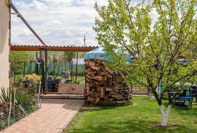 Casă cu 5 camere cu Teren 1450 Mp în Central - 6