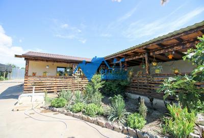 Casa deosebita, in Frecatei – la doar 15 minute de Tulcea! - 8