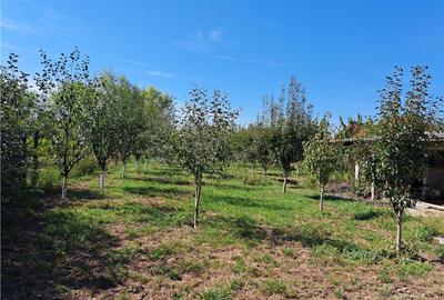 RECO Casa Salonta - 3