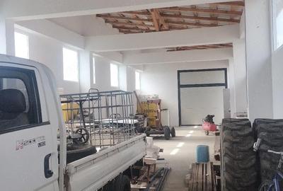 Spațiu comercial, de 3,830 mp, în Pleașa - 3