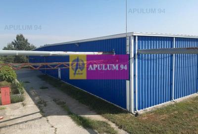 Spațiu industrial, de 4,850 mp, în 1 Decembrie - 36