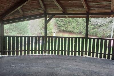CASĂ DE VACANȚĂ 5 CAMERE,POINANA MĂRULUI, JUD.CARAȘ-SEVERIN - 21