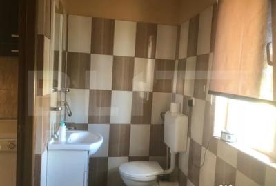 Casă cu 5 camere cu Teren 3000 Mp în Botiz - 11