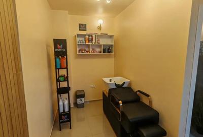 Salon de infrumusetare - 4