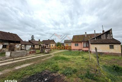 Casă cu 3 camere cu Teren 975 Mp în Tileagd - 2