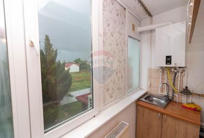 Apartament cu 1 camere decomandat, mobilat în Ozana - 8