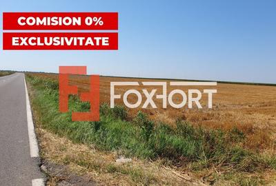 COMISION 0% Teren extravilan 4,47 ha, 800m front stradal, Peciu Nou - ID V5491 - 3