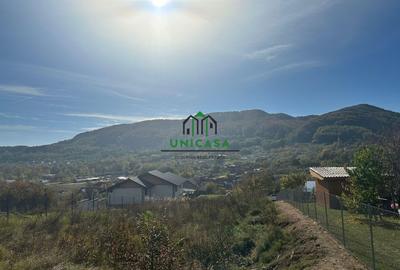 Teren Construcții intravilan de 1020 mp, în Vlădești - 2