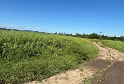 Teren de 600 mp, în Izvorani - 6