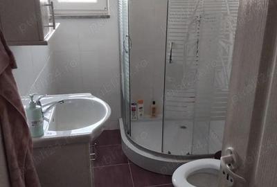 Casa de locuit cu mansarda + teren - Buteni, jud. Arad - 6