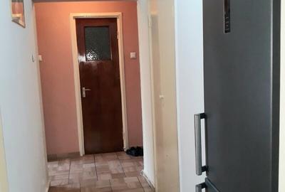 Obor, Colentina, Teiul Doamnei, stradal Tel: 0770956572 - 12