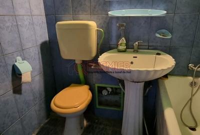 Brancoveanu - Izvorul Muresului Vanzare 4 camere - - 10