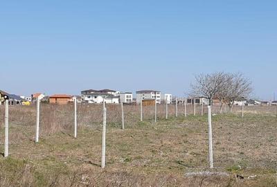 Veterani / 500 mp Veterani / 500 mp - 5