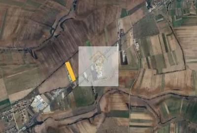 Teren de 7959 mp, în Nojorid