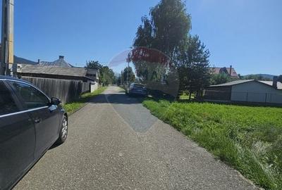 Acasa, in liniste si confort - la un pas de Piatra Neamt - 22