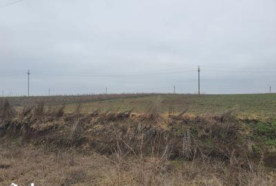 Teren de 140000 mp, în Albești - 2