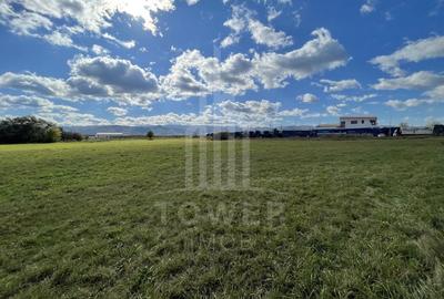 Teren industrial de vânzare în Cristian – 6.000 mp, deschidere la drum asfaltat - 1