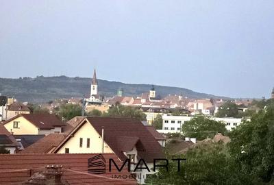 Apartament cu 2 camere decomandat, mobilat în Turnișor - 8