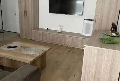 Apartament cu 2 camere semidecomandat, mobilat în Apărătorii Patriei - 1