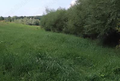Teren de 4400 mp, în Mitocu Dragomirnei - 8