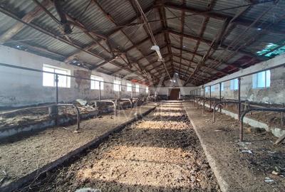 Proprietate specială, de 5,000 mp, în Agnita - 11