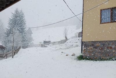 Casă cu 4 camere în Albac - 2